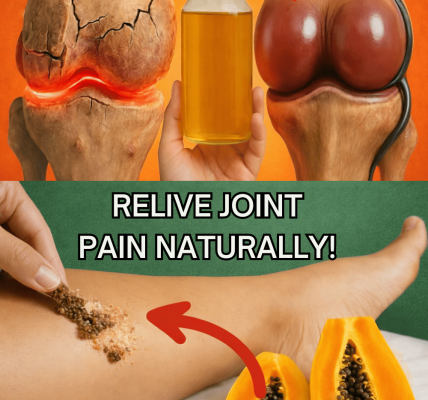 Could Papaya Seeds Be a Simple Natural Way to Support Knee, Back, and Spine Comfort? Could Papaya Seeds Be a Simple Natural Way to Support Knee, Back, and Spine Comfort?