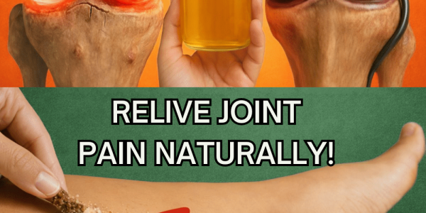 Could Papaya Seeds Be a Simple Natural Way to Support Knee, Back, and Spine Comfort? Could Papaya Seeds Be a Simple Natural Way to Support Knee, Back, and Spine Comfort?