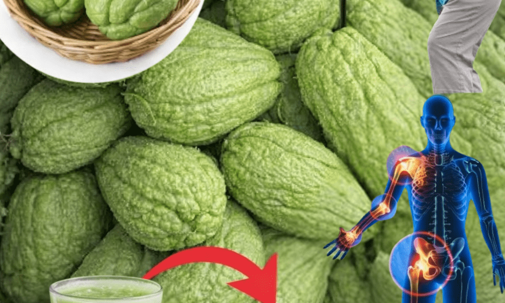 Discover Chayote Squash: 7 Simple Ways This Everyday Vegetable Can Support Your Daily Wellness Routine Discover Chayote Squash: 7 Simple Ways This Everyday Vegetable Can Support Your Daily Wellness Routine