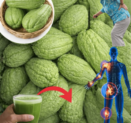 Discover Chayote Squash: 7 Simple Ways This Everyday Vegetable Can Support Your Daily Wellness Routine Discover Chayote Squash: 7 Simple Ways This Everyday Vegetable Can Support Your Daily Wellness Routine