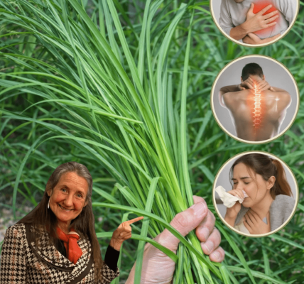 9 Surprising Potential Health Benefits of Goosegrass You Might Not Know About 9 Surprising Potential Health Benefits of Goosegrass You Might Not Know About