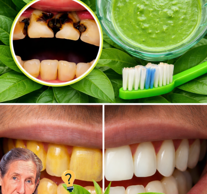 Can Guava Leaves Secretly Reverse Tooth Decay Before It’s Too Late?