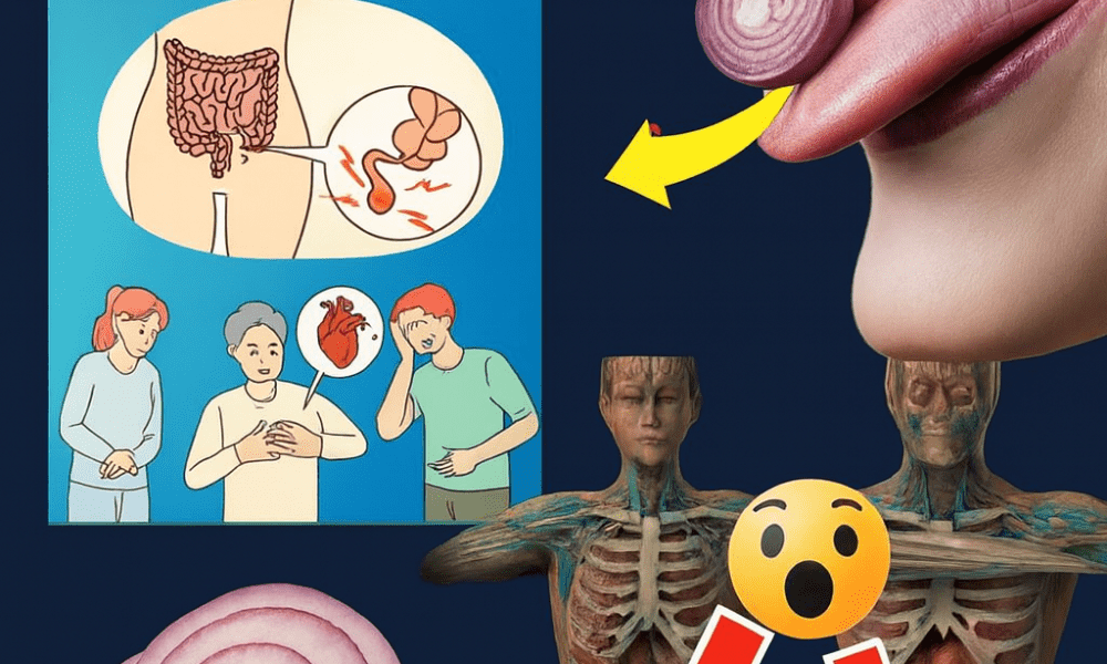 Could Adding Just One Raw Onion to Your Daily Routine Support Better Overall Health? Could Adding Just One Raw Onion to Your Daily Routine Support Better Overall Health?