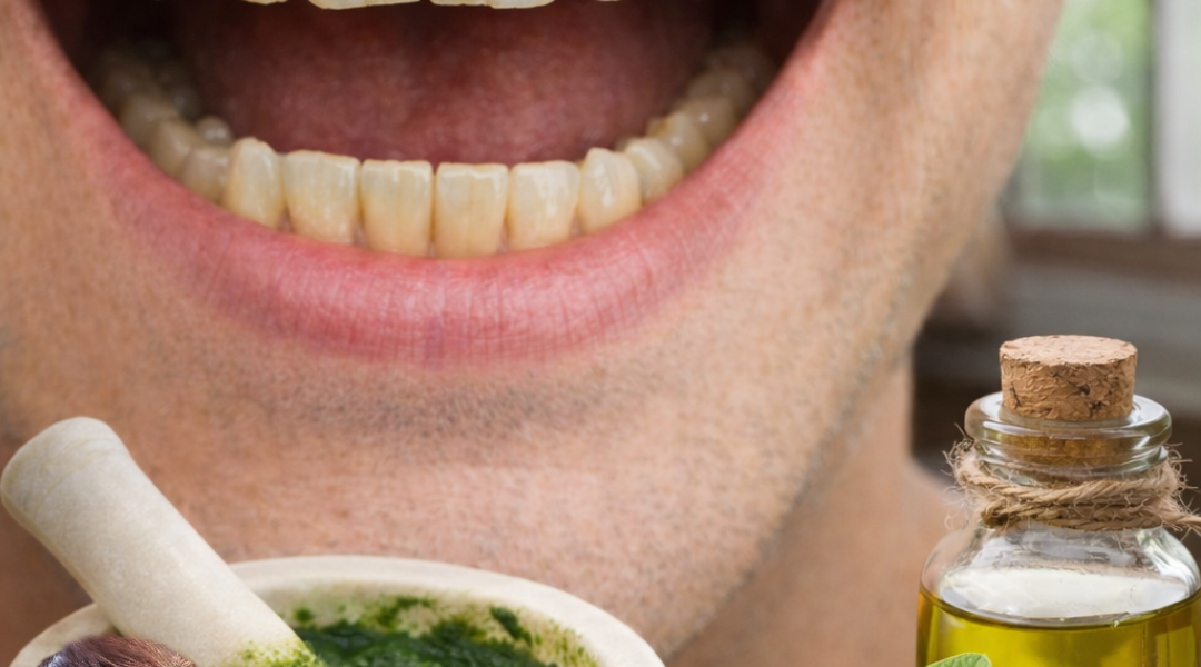 Top 3 Simple Ways to Explore Guava Leaves for Better Oral Care Habits Top 3 Simple Ways to Explore Guava Leaves for Better Oral Care Habits