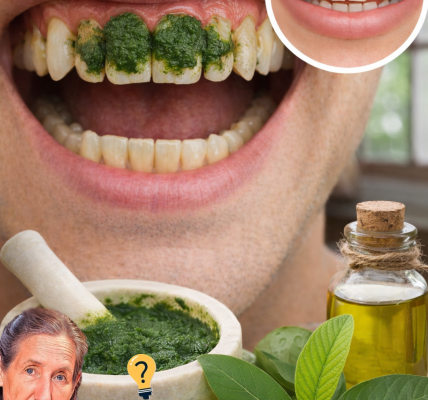 Top 3 Simple Ways to Explore Guava Leaves for Better Oral Care Habits Top 3 Simple Ways to Explore Guava Leaves for Better Oral Care Habits