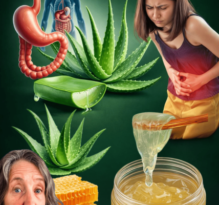 12 Reasons Women May Want to Add Aloe Vera Water with Honey to Their Daily Routine + Easy Recipe