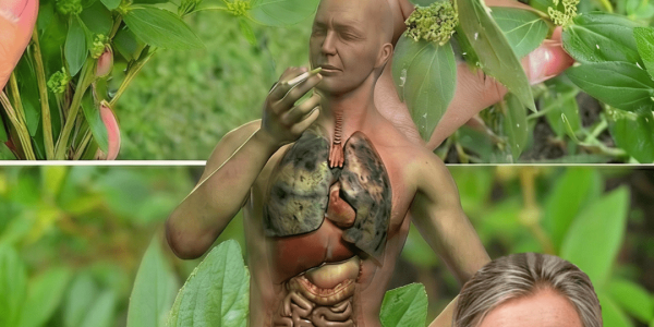 What Is Euphorbia Hirta? 6 Science-Backed Health Benefits Worth Exploring What Is Euphorbia Hirta? 6 Science-Backed Health Benefits Worth Exploring