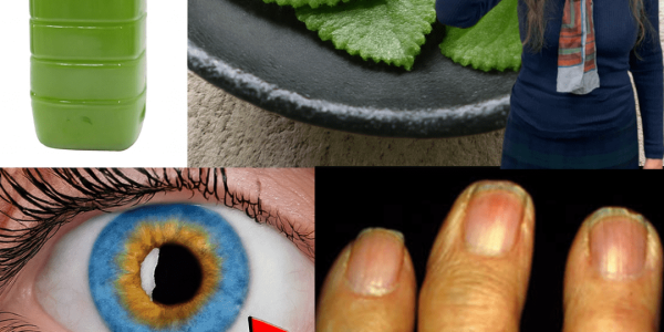 Can One Simple Leaf a Day Really Support Your Daily Wellness? Discover Indian Borage (Cuban Oregano)