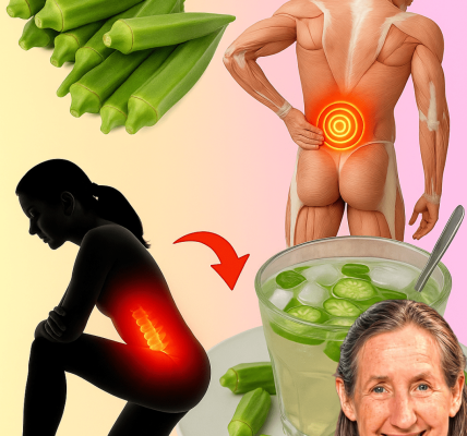 Discover the Everyday Benefits of Okra: A Simple Vegetable Packed with Nutritional Potential Discover the Everyday Benefits of Okra: A Simple Vegetable Packed with Nutritional Potential