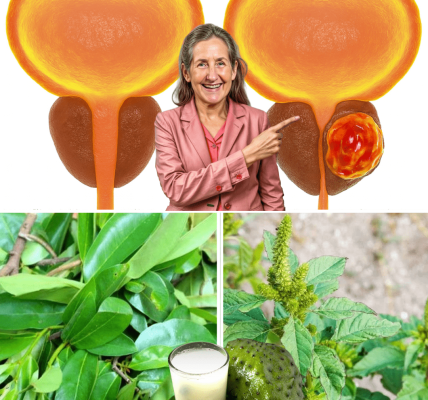 No Man Should Die From Prostate Cancer: The Natural Remedy Thousands of Men Are Turning To