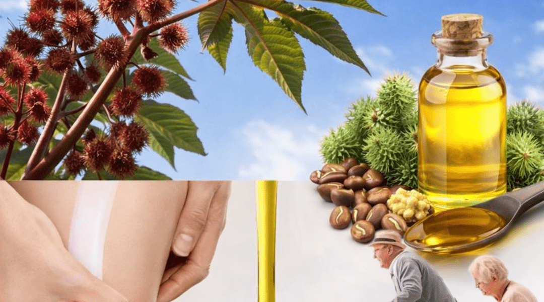 Discover the Simple Ways to Incorporate Castor Oil into Your Everyday Wellness Routine Discover the Simple Ways to Incorporate Castor Oil into Your Everyday Wellness Routine