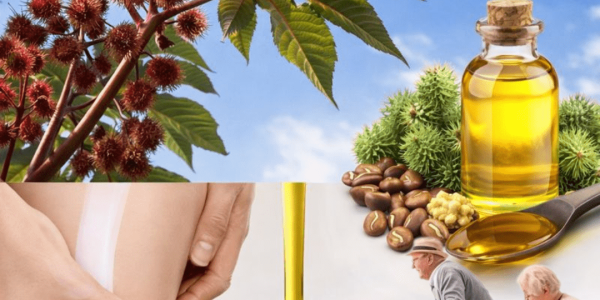 Discover the Simple Ways to Incorporate Castor Oil into Your Everyday Wellness Routine