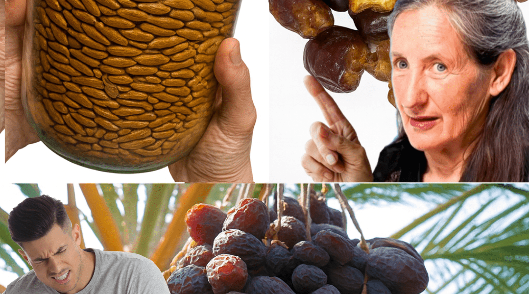 Don’t Toss Date Seeds: 9 Surprising Ways They Can Boost Your Health Naturally Don’t Toss Date Seeds: 9 Surprising Ways They Can Boost Your Health Naturally