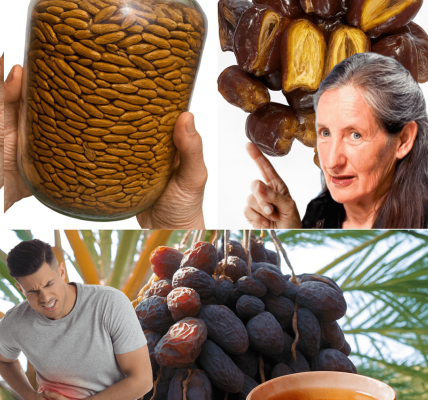 Don’t Toss Date Seeds: 9 Surprising Ways They Can Boost Your Health Naturally