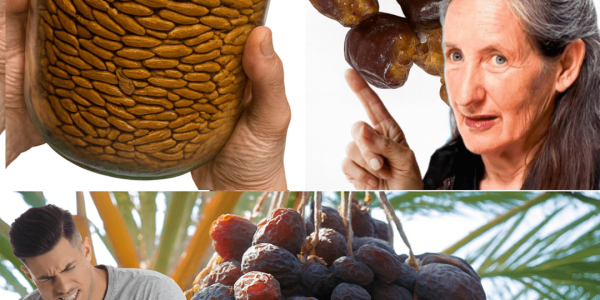Don’t Toss Date Seeds: 9 Surprising Ways They Can Boost Your Health Naturally