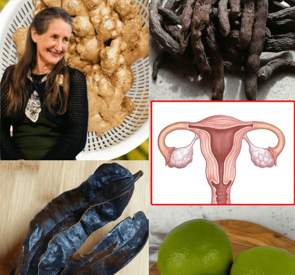 Gbogbo Nise: The Ancient Yoruba Detox Women Can’t Stop Talking About in 2025 Gbogbo Nise: The Ancient Yoruba Detox Women Can’t Stop Talking About in 2025