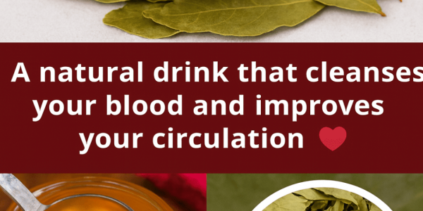 Grandma’s Bay Leaf And Spice Tonic That Gently Supports Blood Flow, Digestion, And Daily Energy Grandma’s Bay Leaf And Spice Tonic That Gently Supports Blood Flow, Digestion, And Daily Energy