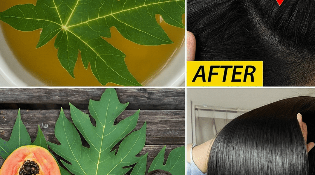 Can Papaya Leaves Turn Back Time on Your Hair? Can Papaya Leaves Turn Back Time on Your Hair?
