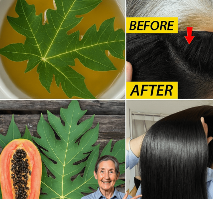 Can Papaya Leaves Turn Back Time on Your Hair? Can Papaya Leaves Turn Back Time on Your Hair?