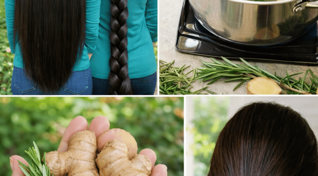 How to Support Longer, Thicker Hair Naturally with a Simple Ginger and Rosemary Rinse How to Support Longer, Thicker Hair Naturally with a Simple Ginger and Rosemary Rinse