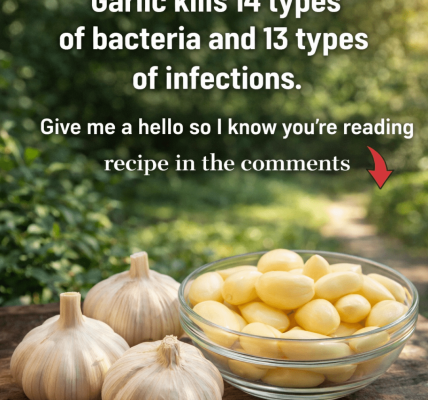 Garlic: Nature’s Potent Ally in Supporting Your Body’s Defense Against Infections