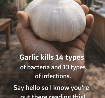 Garlic: Exploring the Natural Antimicrobial Properties of This Everyday Kitchen Staple Garlic: Exploring the Natural Antimicrobial Properties of This Everyday Kitchen Staple