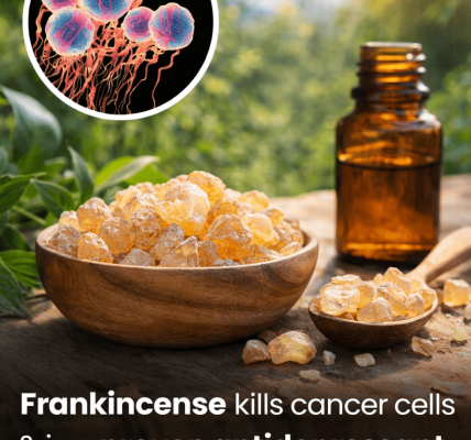 What the Latest Research Reveals About Frankincense and Its Potential Role in Supporting Cellular Health