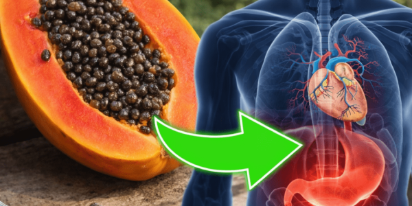 Why Chewing a Few Papaya Seeds Daily Might Be Worth Exploring Why Chewing a Few Papaya Seeds Daily Might Be Worth Exploring