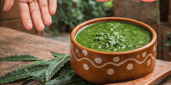 Discover the Traditional Benefits of One Simple Leaf for Everyday Wellness and Circulation Support