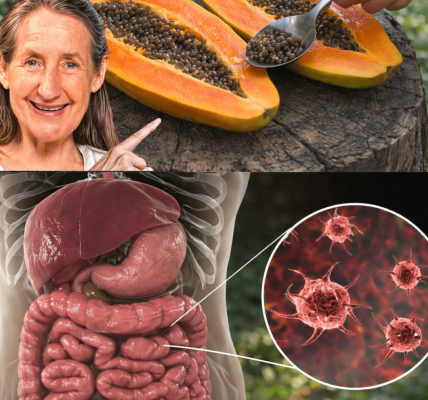 Why You Shouldn’t Throw Away Papaya Seeds: A Simple Guide to Their Hidden Potential Why You Shouldn’t Throw Away Papaya Seeds: A Simple Guide to Their Hidden Potential