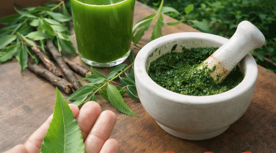 Discover the Potential Wellness Benefits of Neem Leaves: A Traditional Herb for Everyday Health Support Discover the Potential Wellness Benefits of Neem Leaves: A Traditional Herb for Everyday Health Support