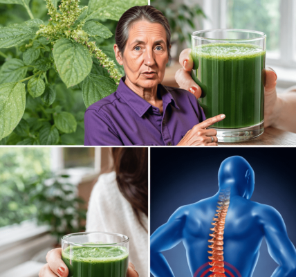 21 Reasons You Should Consider Growing a Pigweed Plant in Your Garden