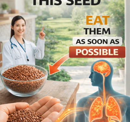 Discover 6 Nutrient-Packed Seeds That May Support Your Body’s Natural Defenses Against Cancer – A Helpful Guide for Older Adults Discover 6 Nutrient-Packed Seeds That May Support Your Body’s Natural Defenses Against Cancer – A Helpful Guide for Older Adults