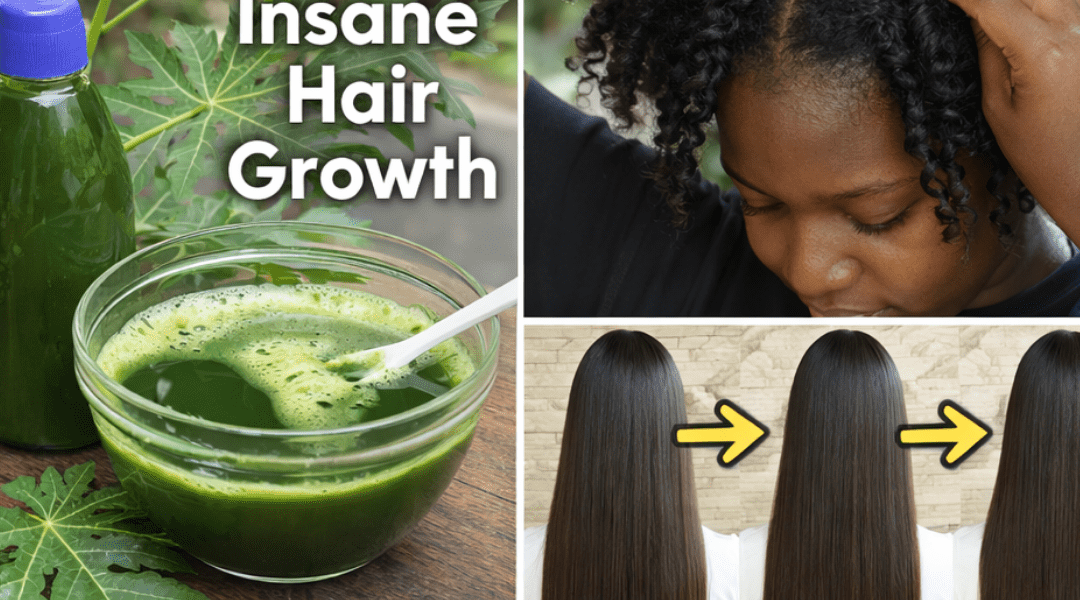 Papaya Leaves for Hair: Are You Ready to Explore This Traditional Natural Hair Care Option? Papaya Leaves for Hair: Are You Ready to Explore This Traditional Natural Hair Care Option?