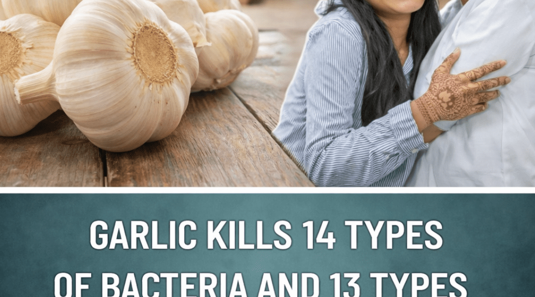 Does Garlic Really Have Strong Antimicrobial Properties? Exploring the Science Behind This Popular Kitchen Staple Does Garlic Really Have Strong Antimicrobial Properties? Exploring the Science Behind This Popular Kitchen Staple
