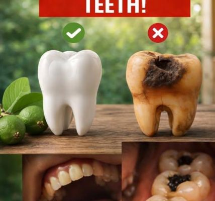 Discover 3 Simple Ways to Support Your Oral Health Using Guava Leaves – Natural and Affordable Options