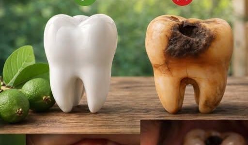 Discover 3 Simple Ways to Support Your Oral Health Using Guava Leaves – Natural and Affordable Options
