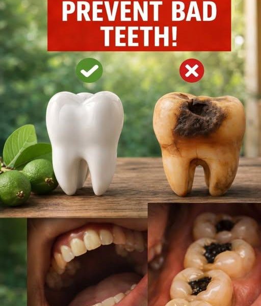 Discover 3 Simple Ways to Support Your Oral Health Using Guava Leaves – Natural and Affordable Options