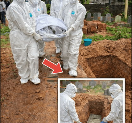 Why Health Officials Warn: Avoid Eating Fruit Bitten by Bats or Birds to Reduce Nipah Virus Risk Why Health Officials Warn: Avoid Eating Fruit Bitten by Bats or Birds to Reduce Nipah Virus Risk