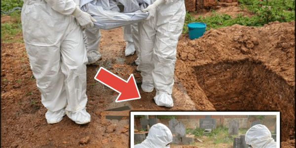 Why Health Officials Warn: Avoid Eating Fruit Bitten by Bats or Birds to Reduce Nipah Virus Risk Why Health Officials Warn: Avoid Eating Fruit Bitten by Bats or Birds to Reduce Nipah Virus Risk