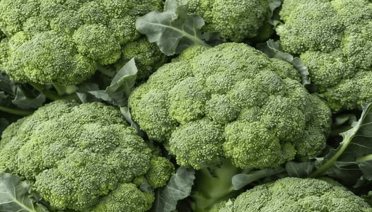 Doctors Reveal That Green Broccoli Causes… The Truth Behind the Viral Claim Doctors Reveal That Green Broccoli Causes… The Truth Behind the Viral Claim