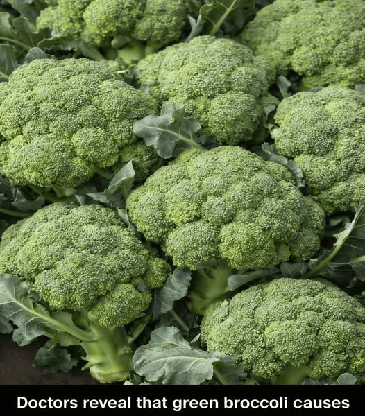 Doctors Reveal That Green Broccoli Causes… The Truth Behind the Viral Claim