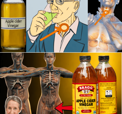 Apple Cider Vinegar: A Simple, Natural Way to Support Your Daily Wellness