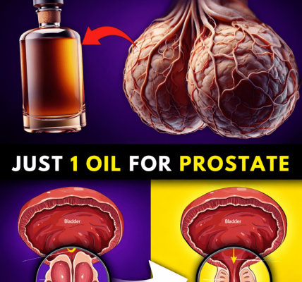 Discover 6 Natural Oils That May Help Support Prostate Comfort and Urinary Health