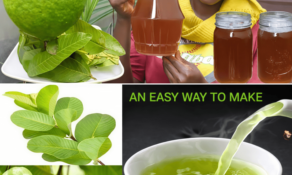 17 Reasons Why You Should Drink Guava Leaf Tea Twice a Week
