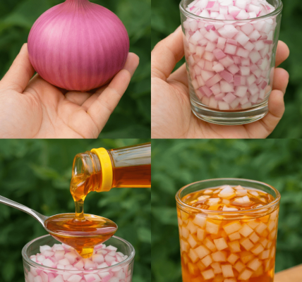 Unleash Your Inner Alpha: The Natural Nighttime Boost You Need Unleash Your Inner Alpha: The Natural Nighttime Boost You Need