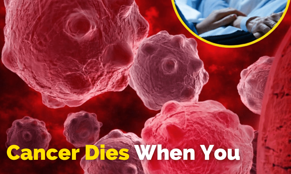 8 Powerful Anti-Cancer Foods You Should Start Including in Your Diet