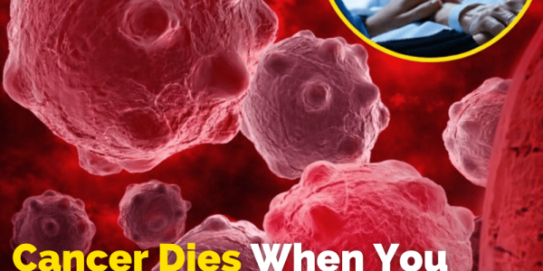 8 Powerful Anti-Cancer Foods You Should Start Including in Your Diet