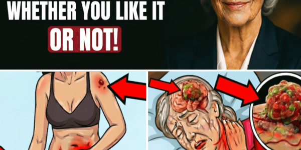 SENIORS at 80: Five Inevitable Shifts That Quietly Reshape Your Life