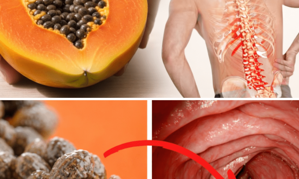 What Happens to Your Body When You Start Eating Papaya Seeds Every Day?